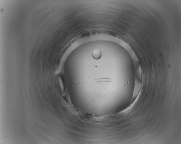 X0000066530190200603311829