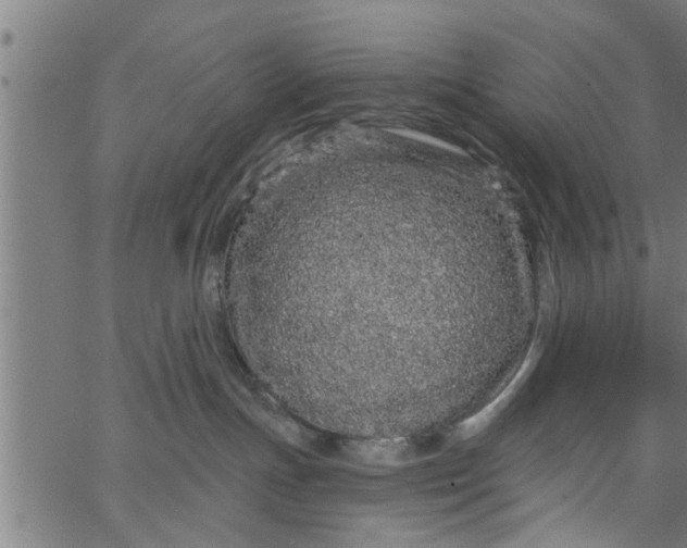 X0000066530191200603311829