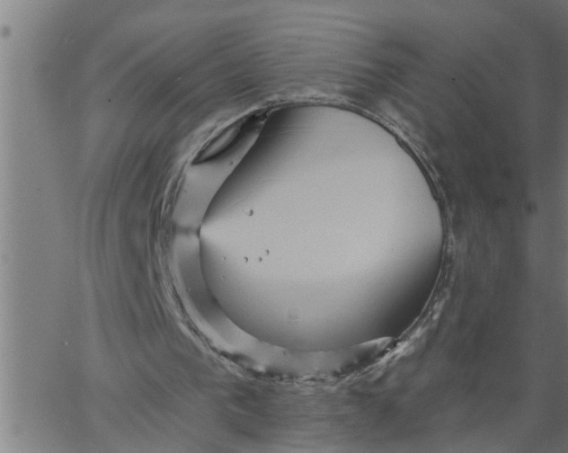 X0000066530193200603311828