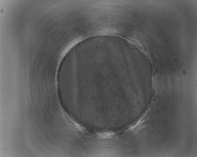 X0000066530196200603311828