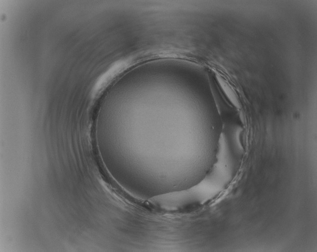 X0000066530197200603311828