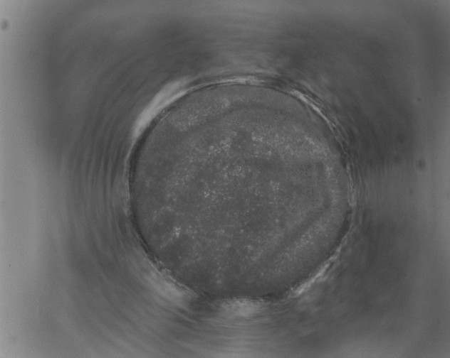 X0000066530198200603311828