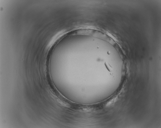 X0000066530199200603311828