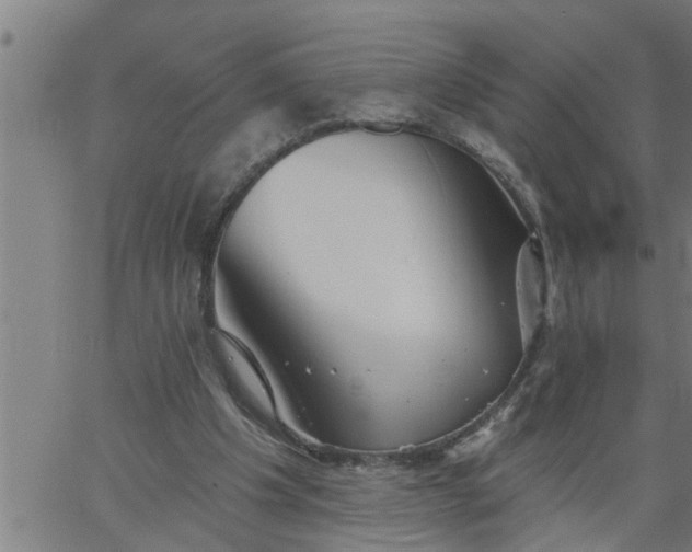 X0000066530201200603311828