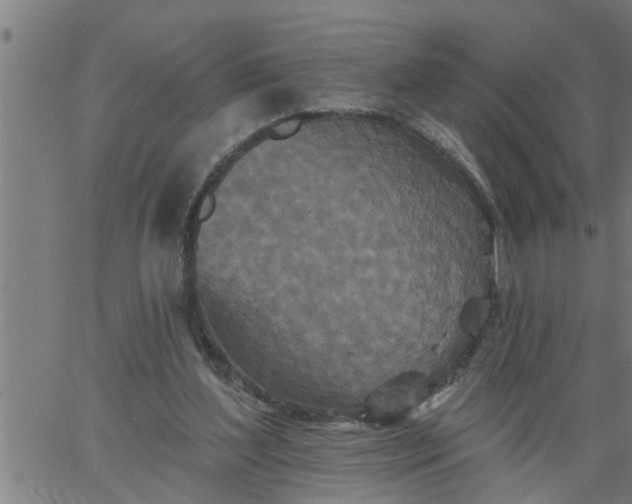 X0000066530204200603311828