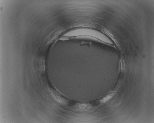 X0000066530205200603311828