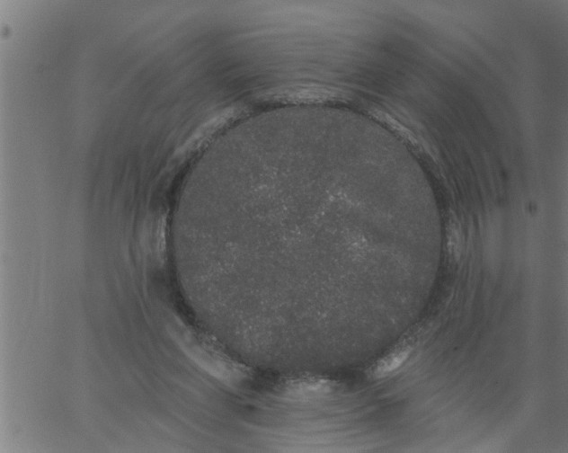 X0000066530206200603311828