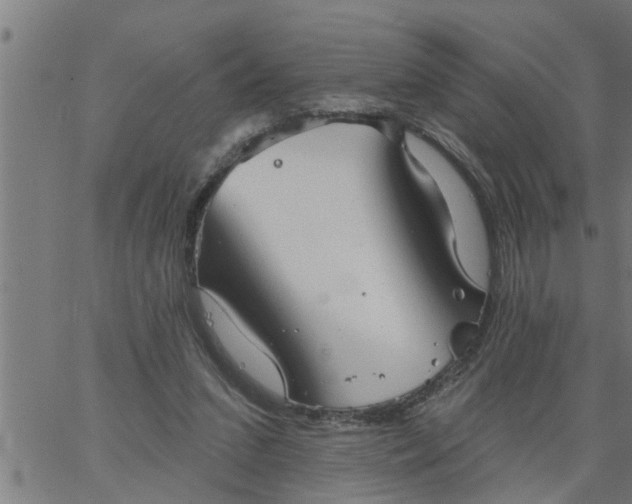 X0000066530207200603311828