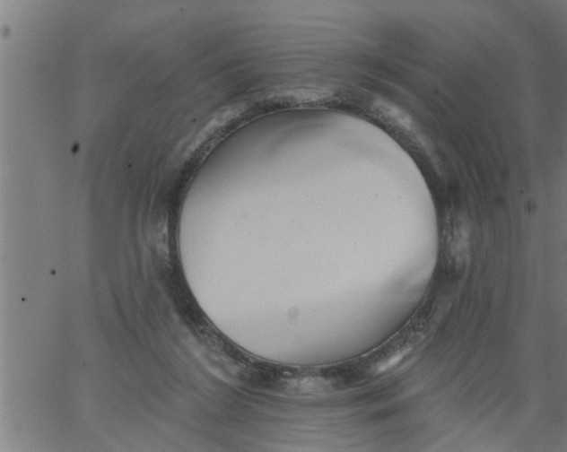 X0000066530212200603311828