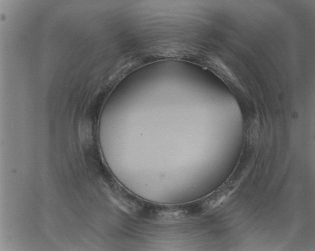 X0000066530213200603311828