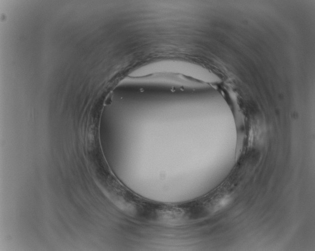 X0000066530215200603311828