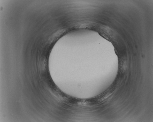 X0000066530216200603311828