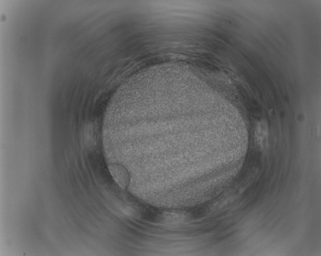 X0000066530218200603311828