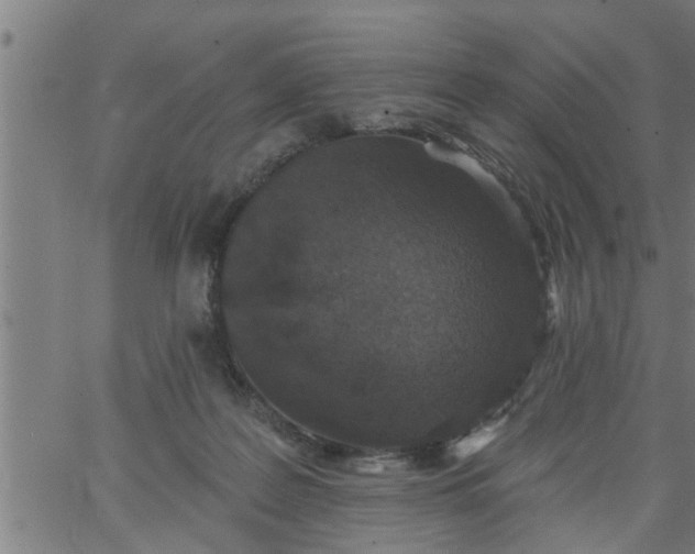 X0000066530219200603311828