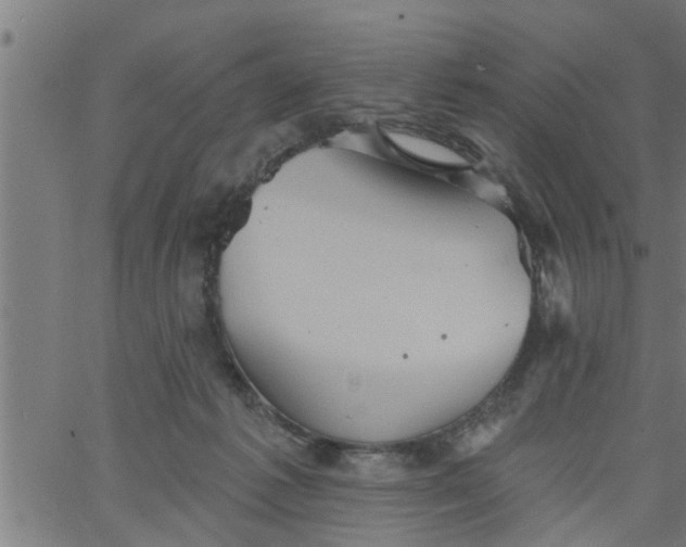 X0000066530221200603311828