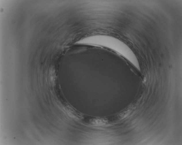 X0000066530223200603311828