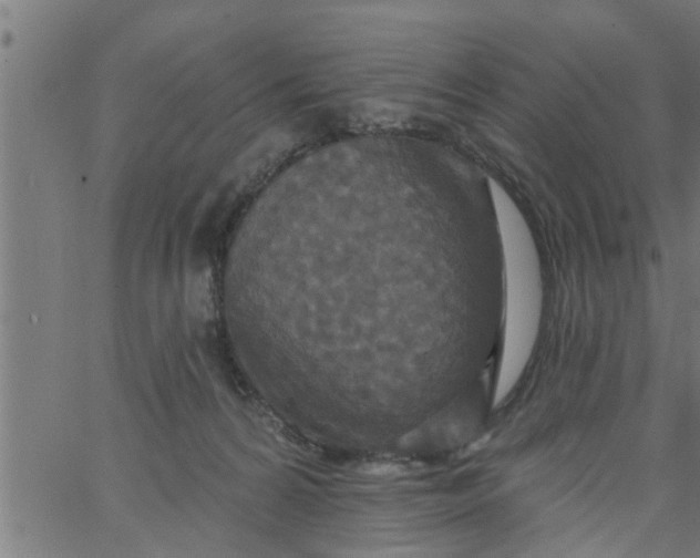 X0000066530224200603311828