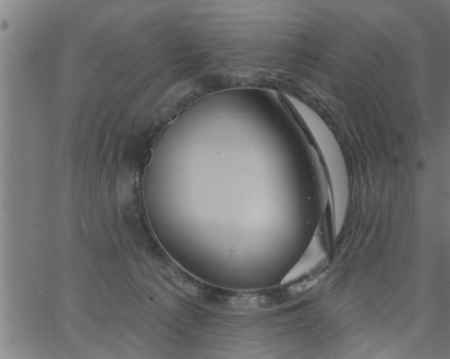 X0000066530225200603311828