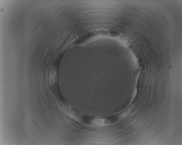 X0000066530227200603311828