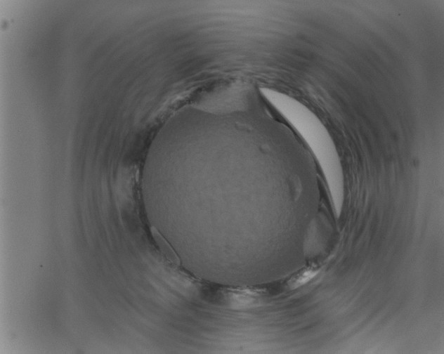 X0000066530229200603311828