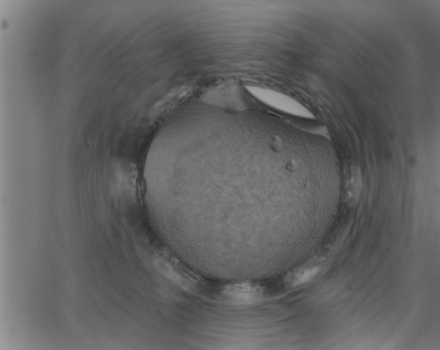 X0000066530231200603311828