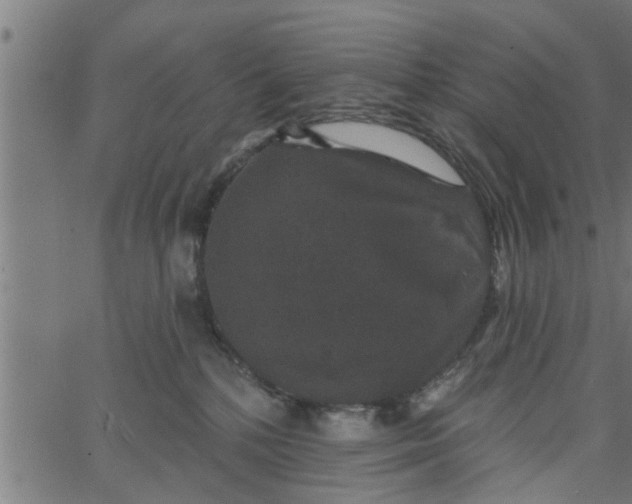 X0000066530232200603311828