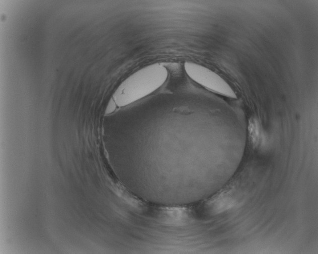 X0000066530233200603311828