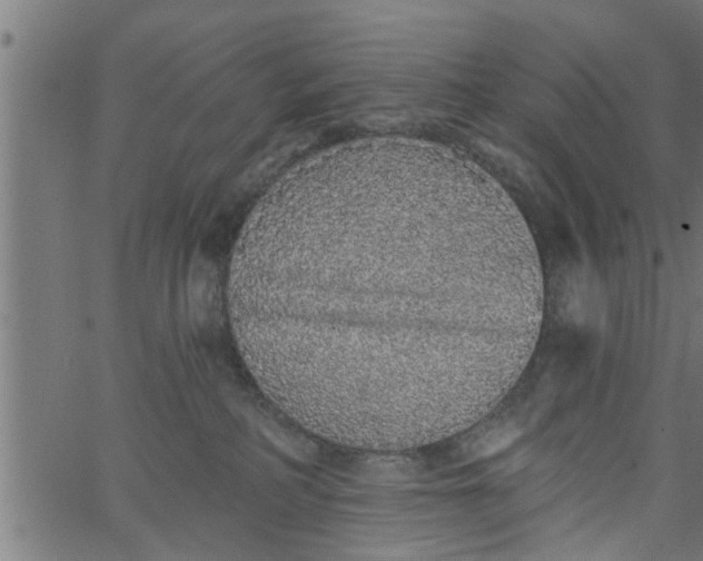 X0000066530234200603311828