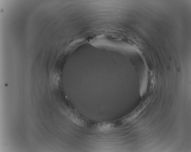 X0000066530235200603311828