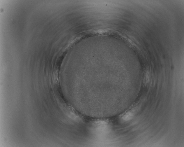 X0000066530236200603311828