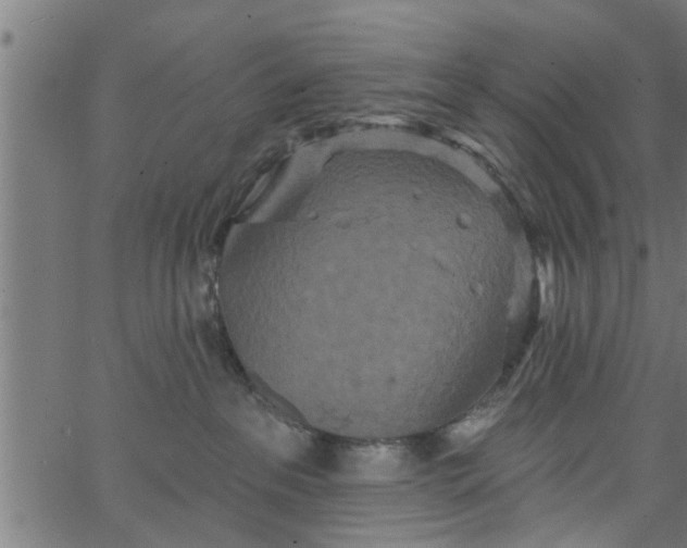 X0000066530237200603311828