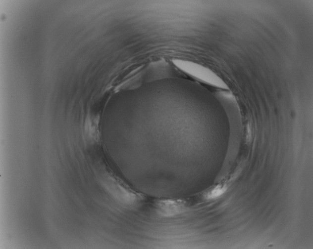 X0000066530239200603311828