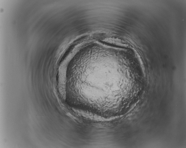 X0000066530241200603311827