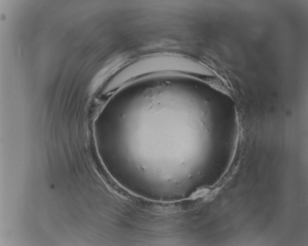 X0000066530245200603311827