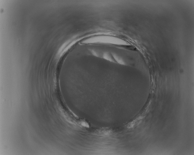 X0000066530247200603311827