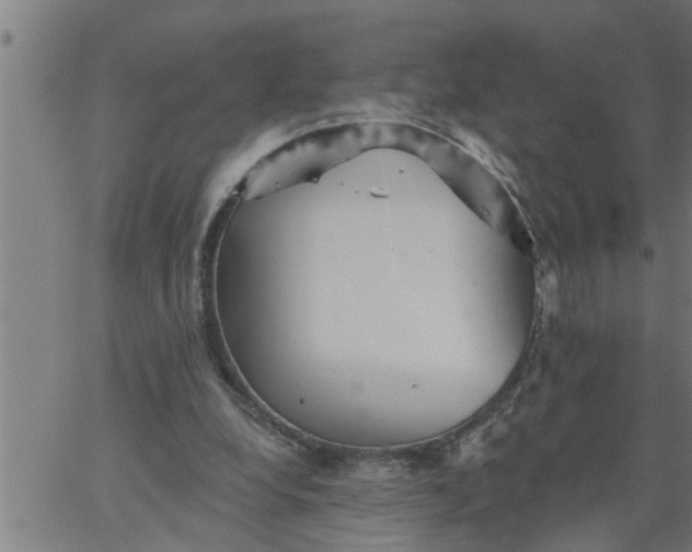 X0000066530248200603311827