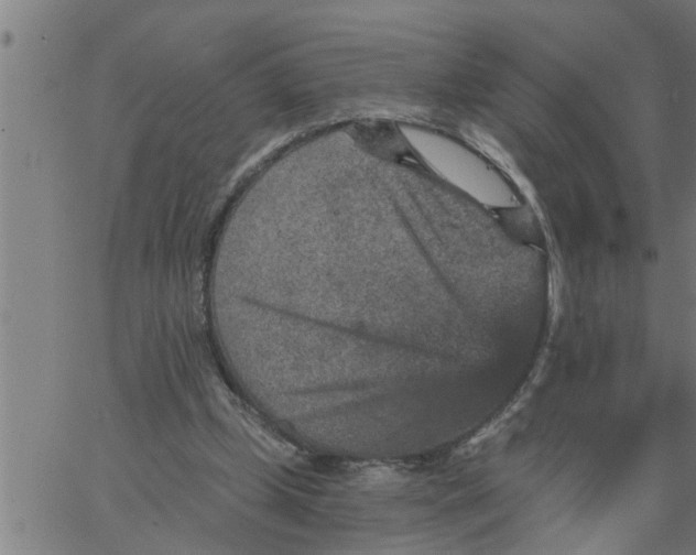 X0000066530249200603311827