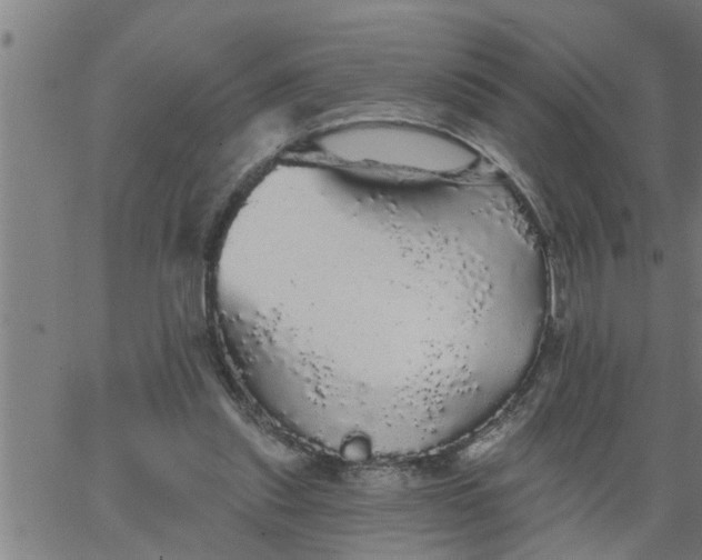 X0000066530253200603311827