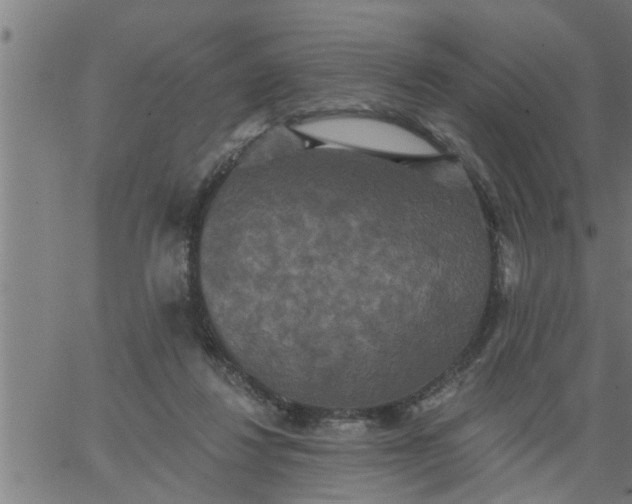 X0000066530260200603311827