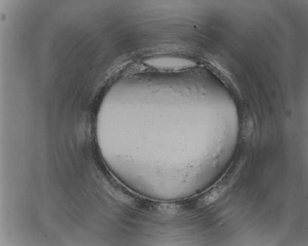 X0000066530261200603311827