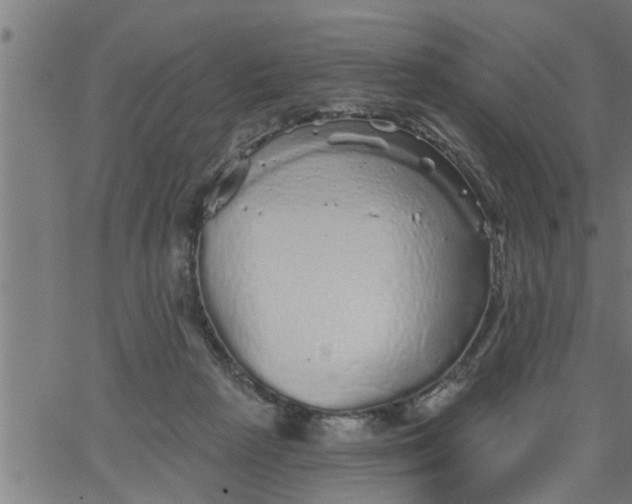 X0000066530265200603311827