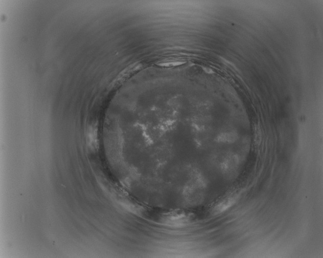 X0000066530267200603311827