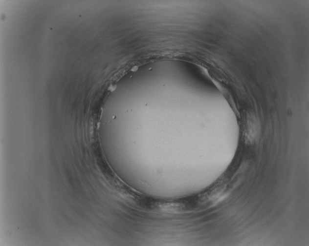 X0000066530268200603311827