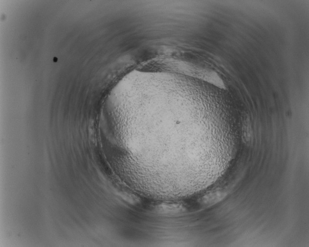 X0000066530270200603311827