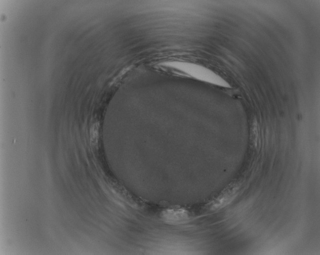 X0000066530271200603311827