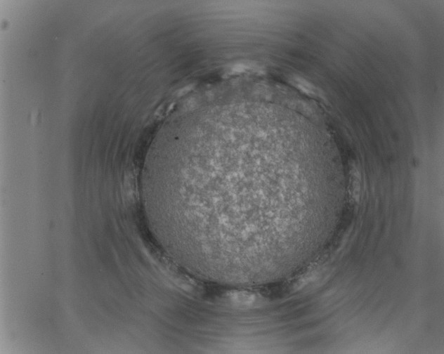 X0000066530272200603311827