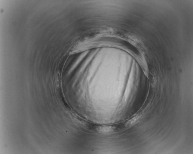 X0000066530273200603311827