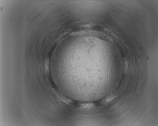 X0000066530274200603311827