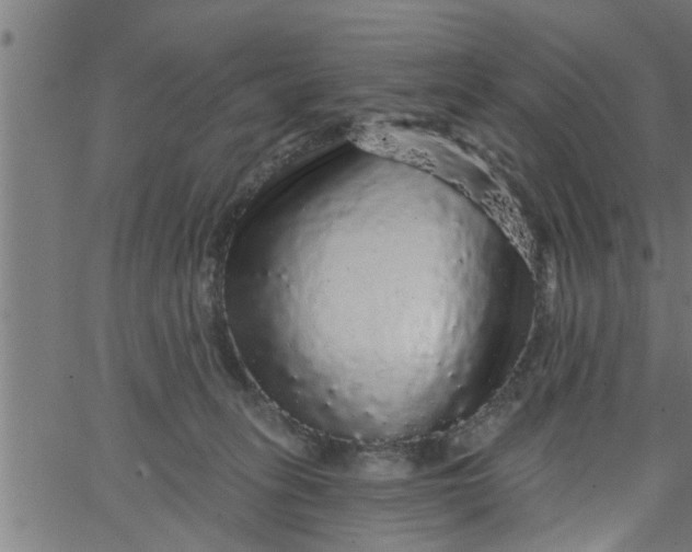 X0000066530275200603311827