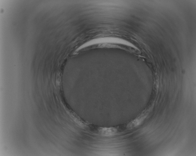 X0000066530277200603311827